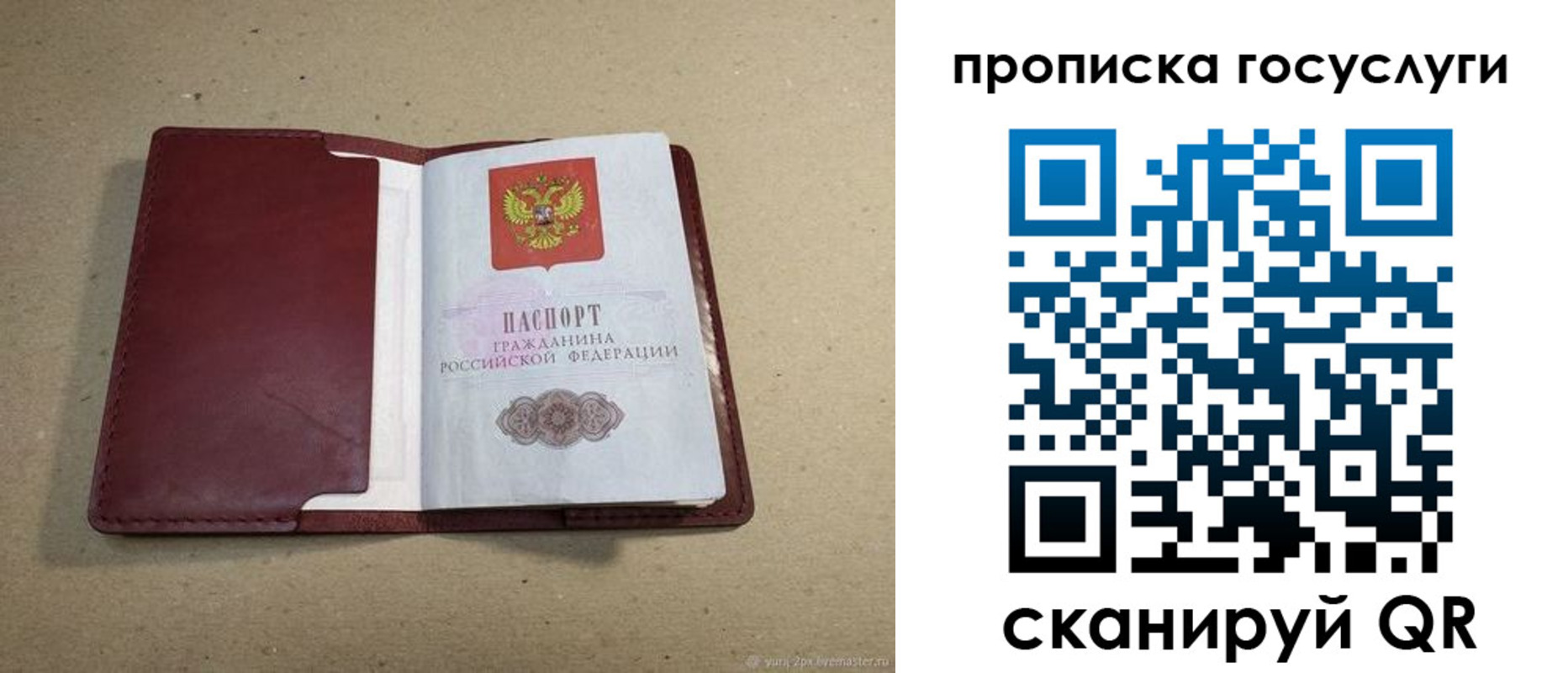 прописка поиск в Ульяновске